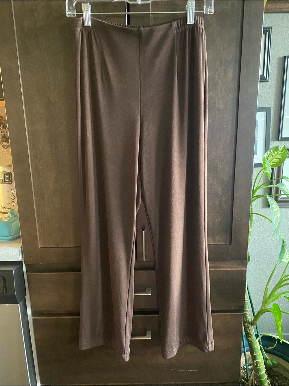 Chico’s Easywear jersey pants.  Chico’s size     1 Short.  Regular size is 8/10.
